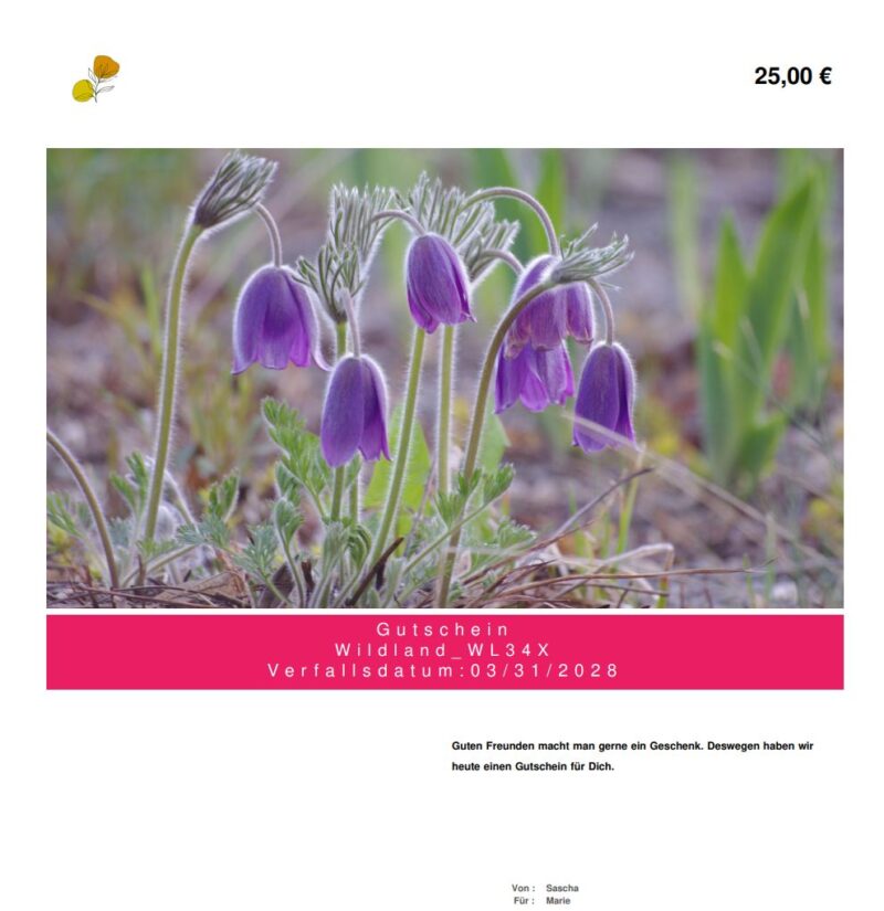 Gutschein – Bild 2